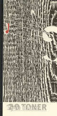 Tyve toner : 27 stemmer (1997)