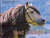 "Omslagsbilde:Hest i Norge"