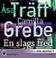 Omslagsbilde